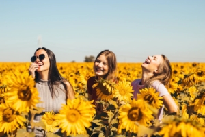Sonnenblumen Biodanza Fülle Erneuerung